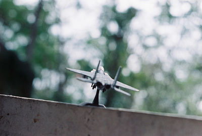Low angle view of airplane flying against trees