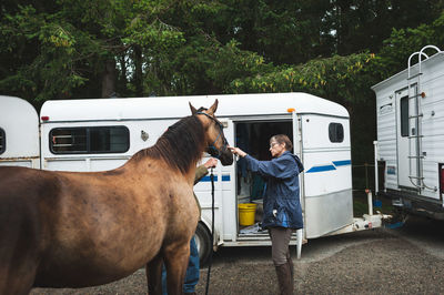 Man standing by horse cart on tree