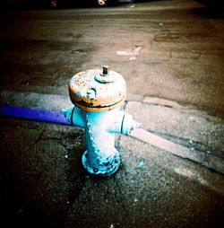 Close-up of fire hydrant