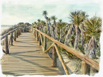 View of palm trees on landscape against sky