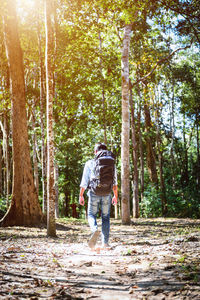 Rear view of man walking on footpath in forest