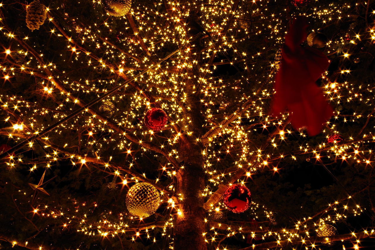 celebration, illuminated, night, christmas, christmas decoration, traditional festival, no people, christmas tree, tradition, christmas lights, low angle view, christmas ornament, outdoors, tree, sky