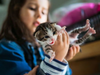 Midsection of person holding kitten