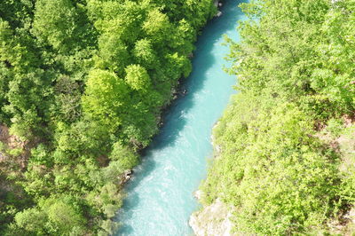 High angle view of waterfall amidst trees in forest