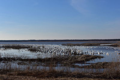 Scenic view of lake against sky