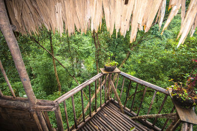 Balcony of tree house in dense forest