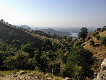 High angle view of trees on landscape against clear sky