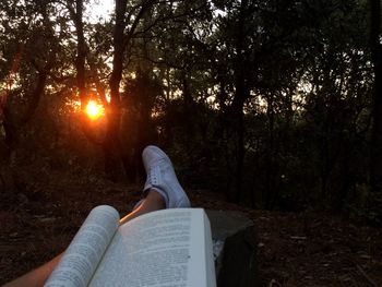 Low section of person in forest