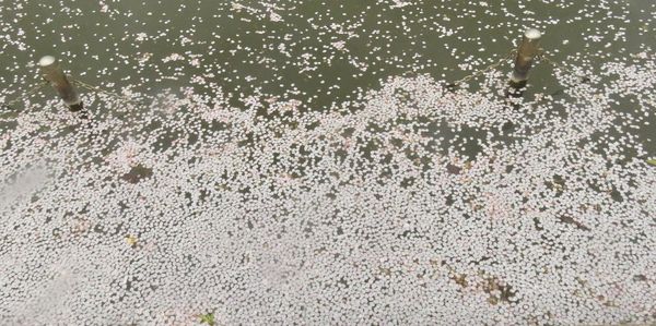 Full frame shot of water splashing in winter