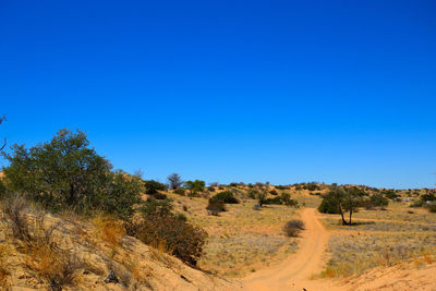 Scenic view of desert against clear blue sky