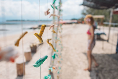 Close-up of colored corals hanging on clothesline against blurred background