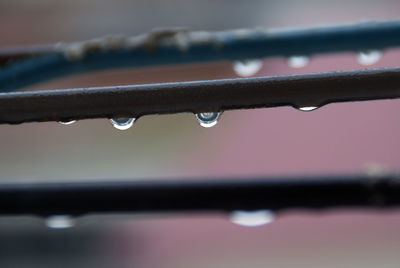 Close-up of raindrops on railing