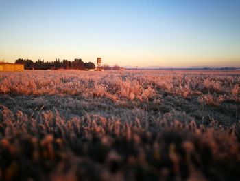 Scenic view of field against clear sky at sunset