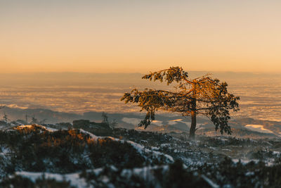 Scenic view of sea against sky during winter