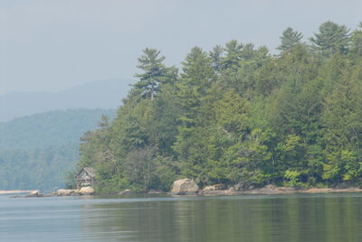 Scenic view of lake by trees against sky