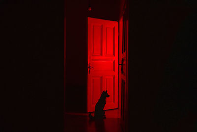 Rear view of man walking on wall at night