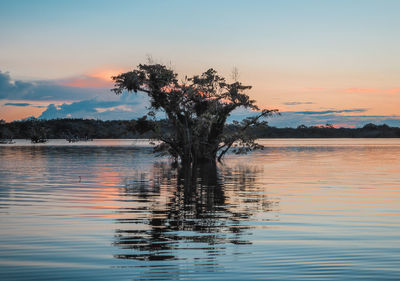 Scenic view of lake against sky during sunset