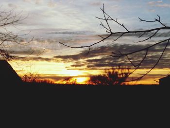 Close-up of silhouette tree against sky during sunset