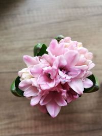 Close-up of pink flower