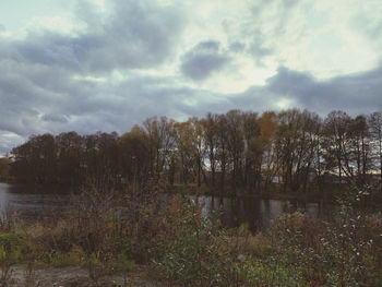 Scenic view of lake in forest against sky