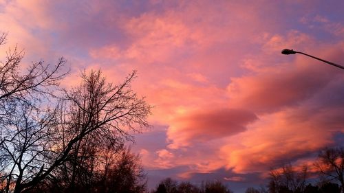 Low angle view of silhouette trees against cloudy sky