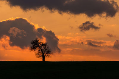Silhouette bare tree on landscape against sky during sunset