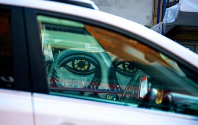 Close-up of snake on car