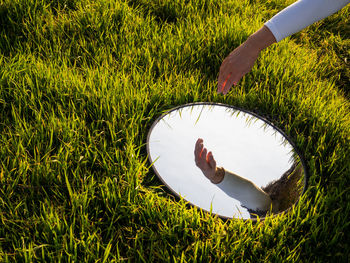 Mirror on grassy field with reflection of cropped hand