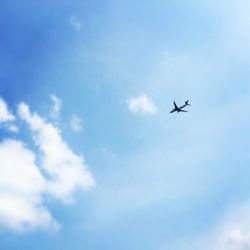 Low angle view of airplane flying in sky