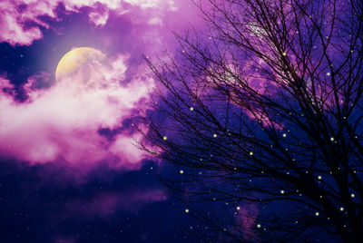 Low angle view of silhouette tree against sky at night