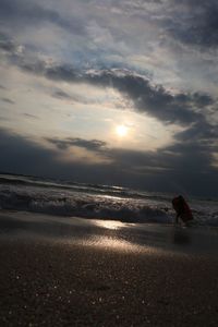 Rear view of man walking on beach against sky during sunset