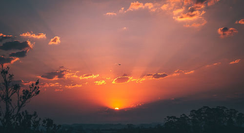 Scenic view of silhouette trees against orange sky