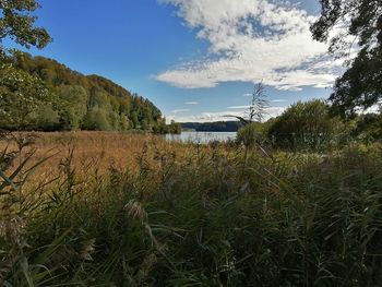 Scenic view of lake against sky