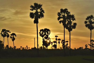 Silhouette trees on field against sky during sunset