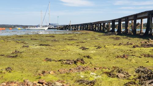 Bridge over sea against sky