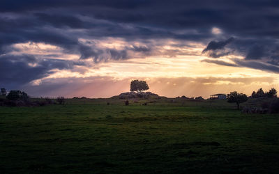 Scenic view of field against sky during sunset