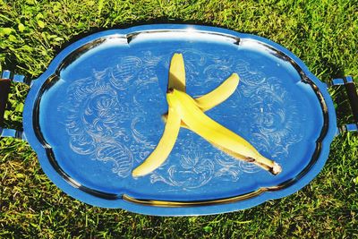 High angle view of yellow fruit on field