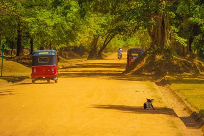 People walking on street