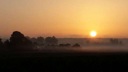 Silhouette trees on field against orange sky