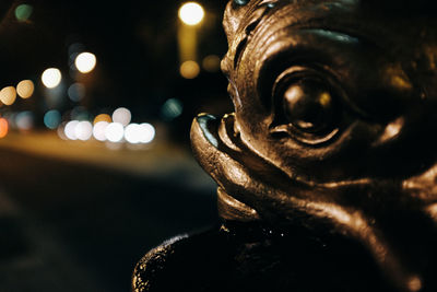 Close-up of statue at night