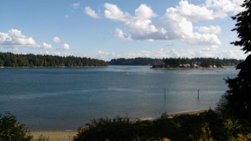 Scenic view of lake in forest against sky