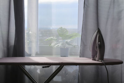 Close-up of potted plant by window