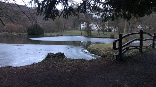 Scenic view of lake in forest