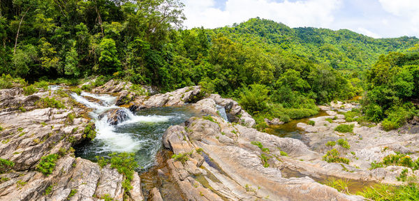 Scenic view of waterfall in forest