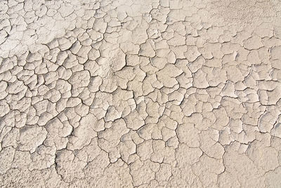 Close-up of cracked land