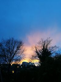 Low angle view of silhouette trees against sky