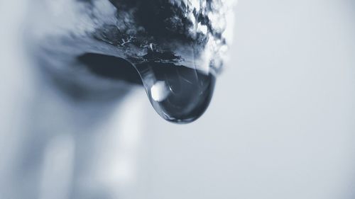 Close-up of water drop on snow