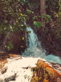 View of waterfall in forest