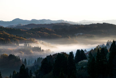 Panoramic view of trees and mountains against sky