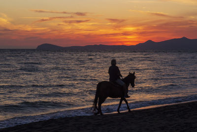 Silhouette man riding horse on beach against sky during sunset